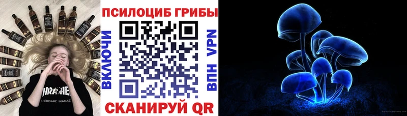 Купить закладки  Сатка  Галлюциногенные грибы прущие грибы 